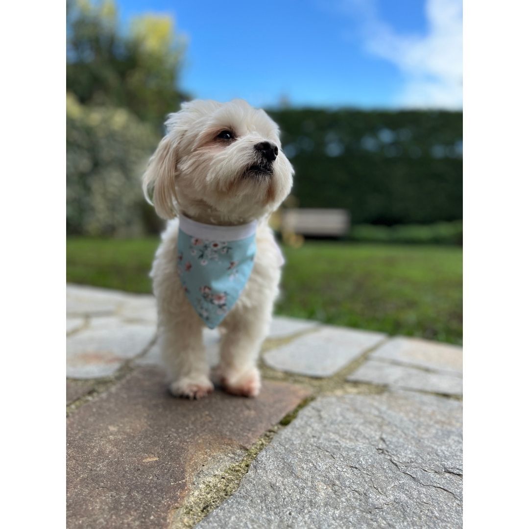 KITIK SORUNSALINA MUCİZE ÇÖZÜM