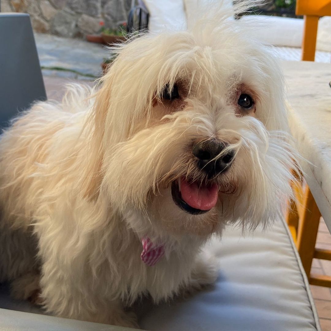 PATİLİ HAYATLARA DAİR...