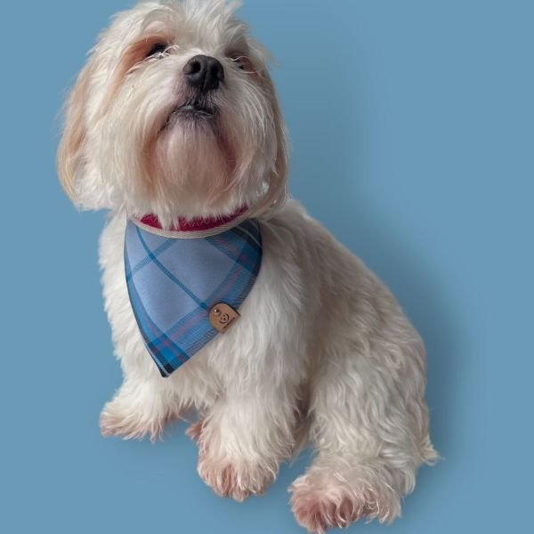 KLASİK BANDANA - FRANKIE