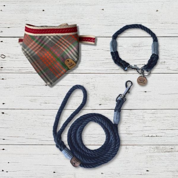 CHANCE -  GEZDİRME TASMASI