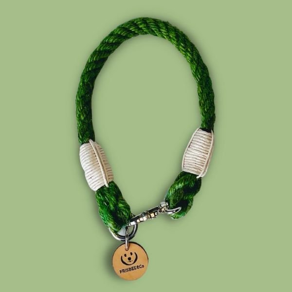 PROTEO - BOYUN TASMASI