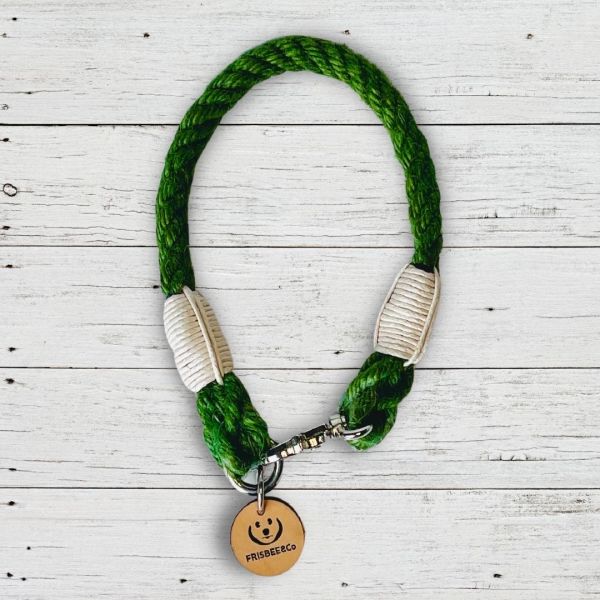 PROTEO - BOYUN TASMASI