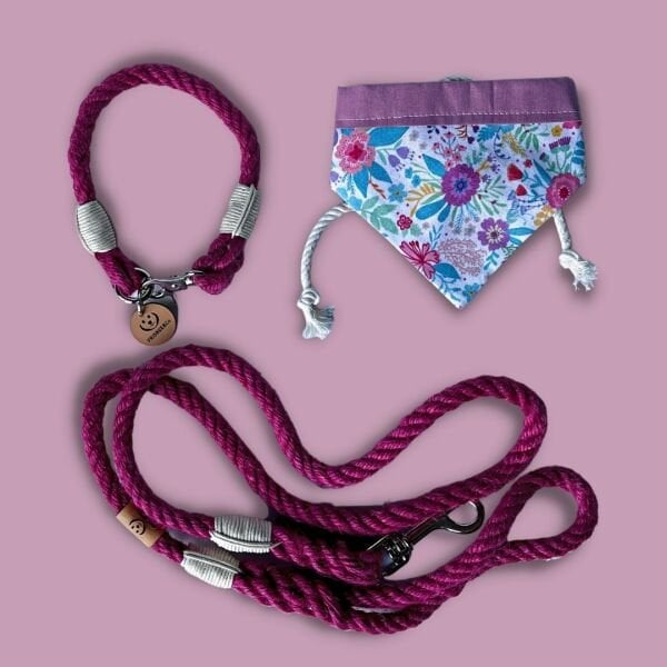 RİTA -  GEZDİRME TASMASI