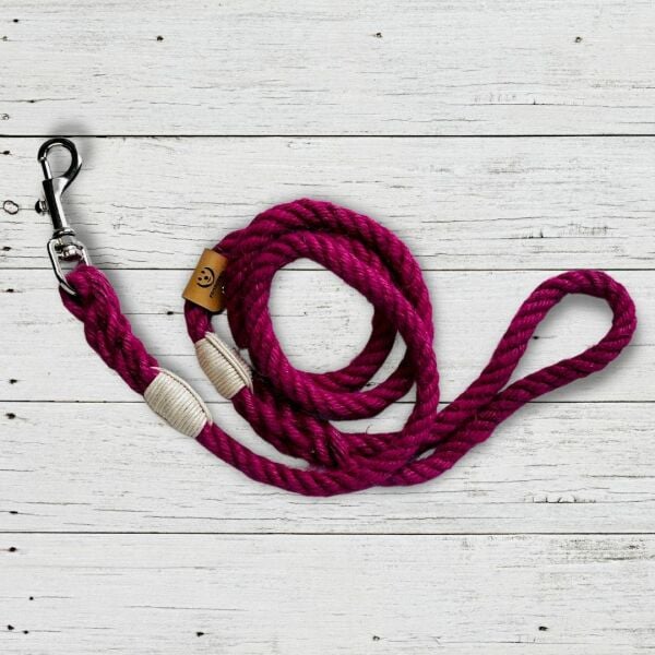 RİTA -  GEZDİRME TASMASI