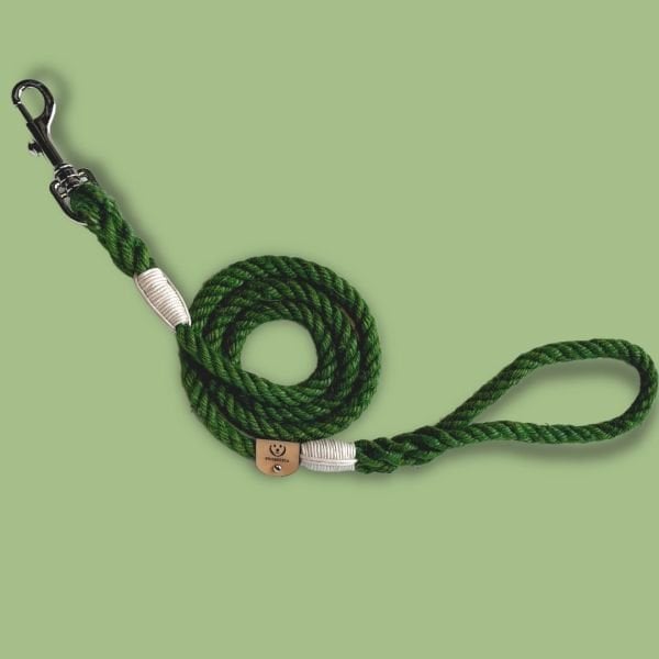 PROTEO -  GEZDİRME TASMASI