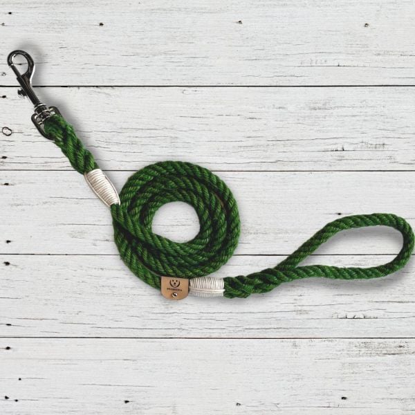 PROTEO -  GEZDİRME TASMASI