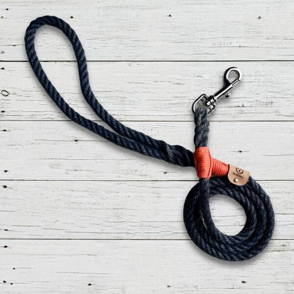 RIZZO -  GEZDİRME TASMASI