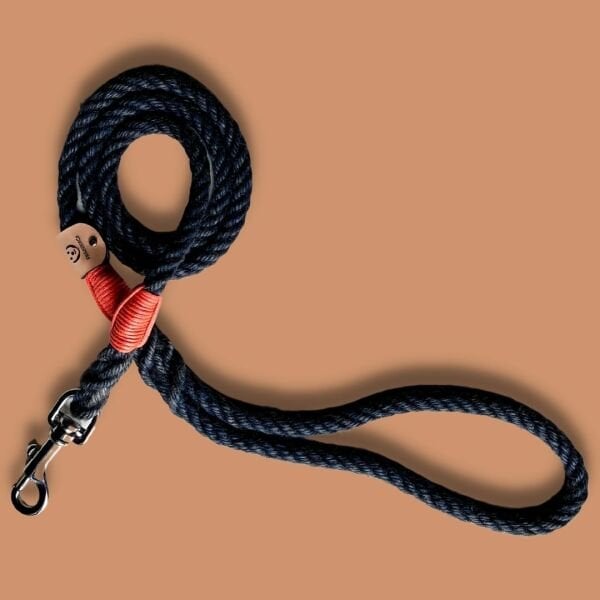 RIZZO -  GEZDİRME TASMASI