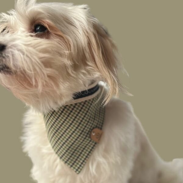 KLASİK BANDANA - CHARLIE