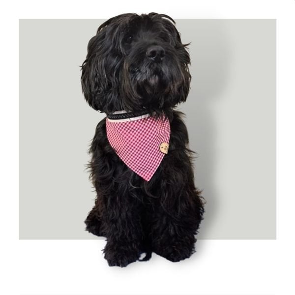 KLASİK BANDANA - AUDREY