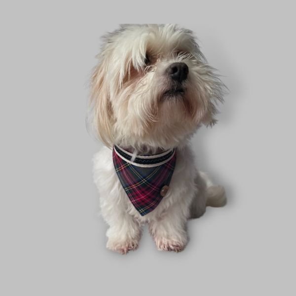 KLASİK BANDANA - COOPER